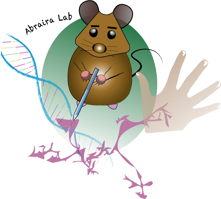 Our Lab Operates Within The W - Illustration (1005x800), Png Download