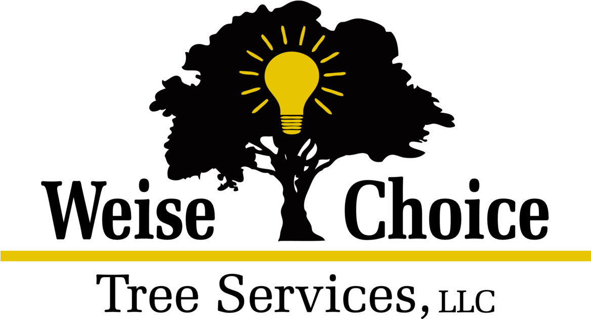 Weise Choice Tree Services, Llc (1300x682), Png Download
