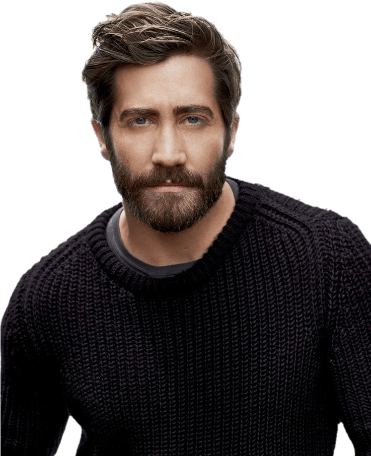 Jake Gyllenhaal Beard - Men Beard (736x912), Png Download