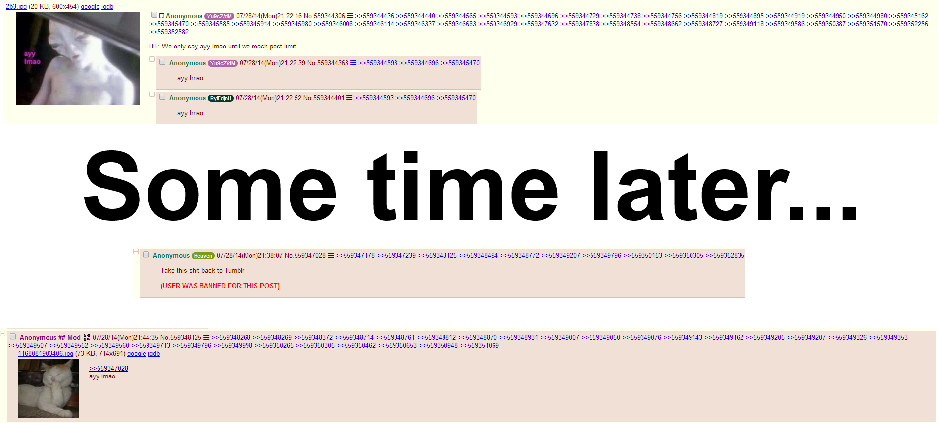 Ayy Lmao - Ayy 4chan (1932x902), Png Download