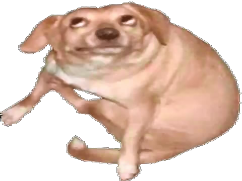 Jul 21, 2014 - Oh You Dog Png (480x360), Png Download