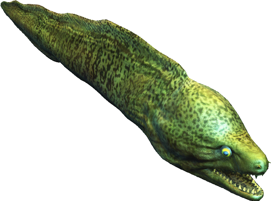 Moray Eel - Assassin's Creed Eel (1024x1024), Png Download