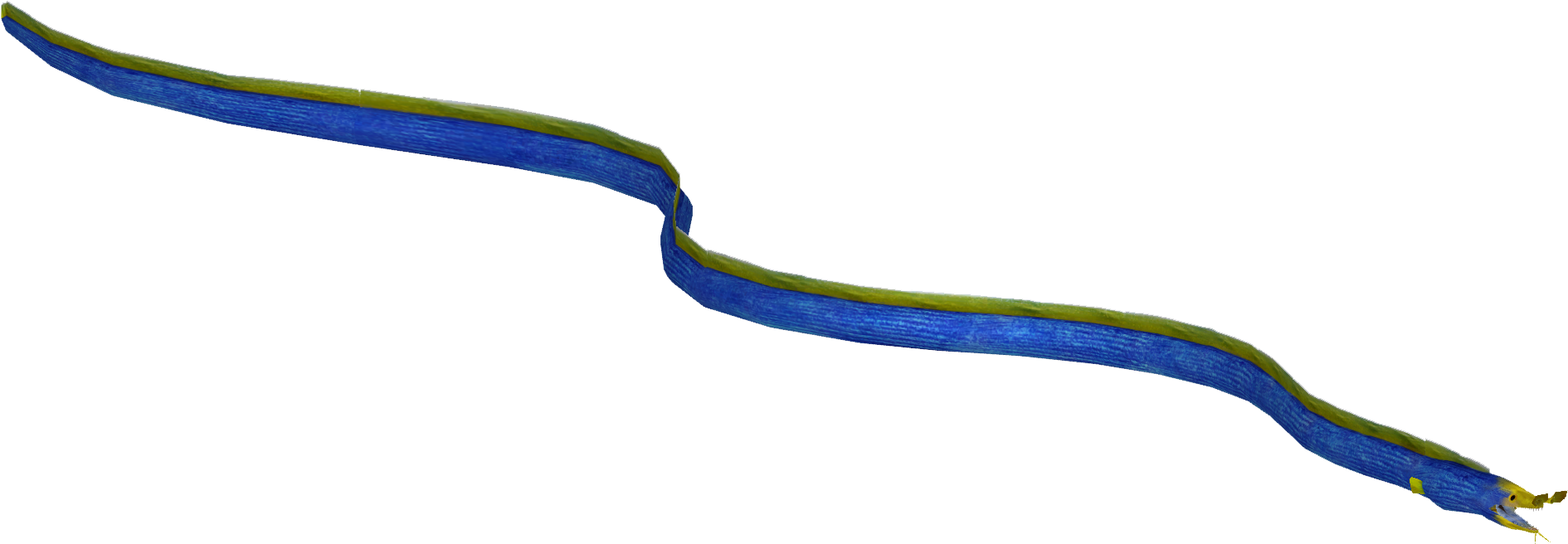 Ribbon Eel - Grass Snake (1889x1889), Png Download