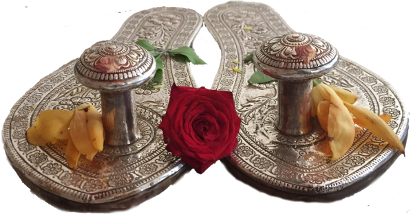A Great Scholar And Yogi Parama Pujya Shaṅkarāshram - Shiitake (600x312), Png Download