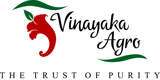 Shree Vinayak Logo 4 By Tina - Vinayaka Font (520x261), Png Download