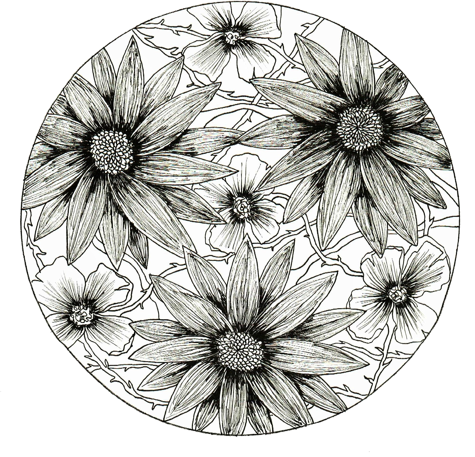 Kasmira Demyan - Line Art (2012x2009), Png Download