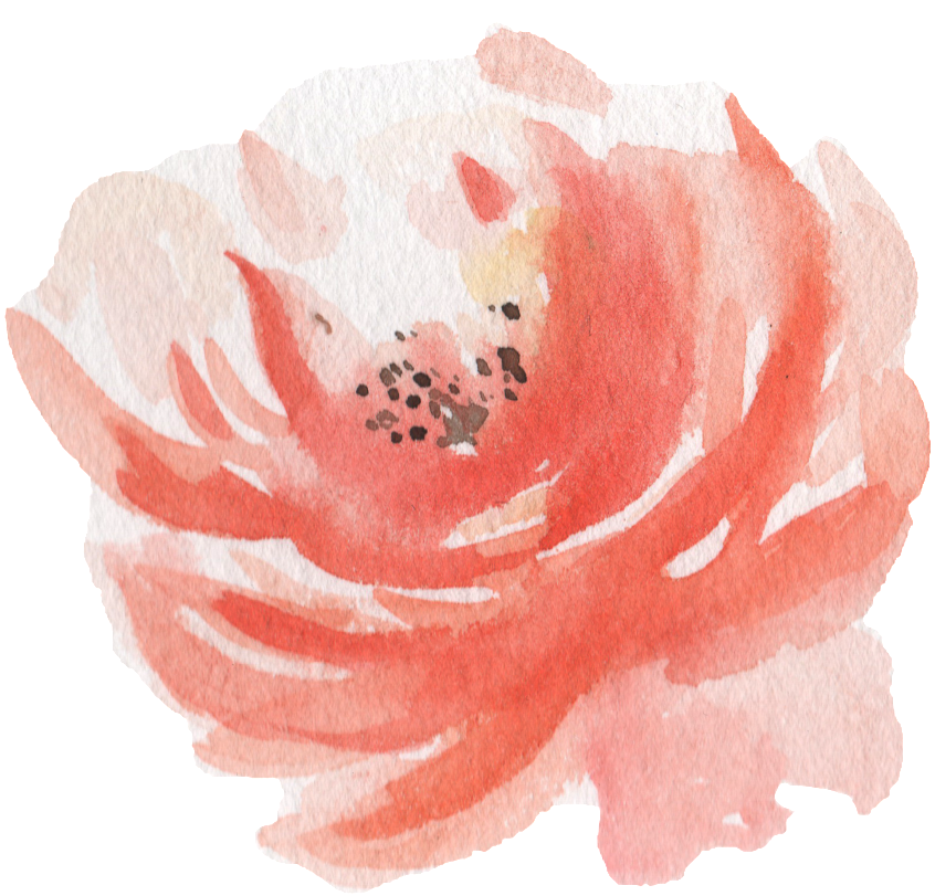 Pink Watercolor Hand Painted Flowers Transparent - Watercolor Painting (1024x1406), Png Download