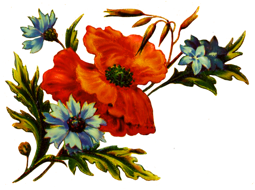 Digital Scrapbooking Flowers Floral For Decoration - Cliparts Decoration Png Scrapbook (934x709), Png Download
