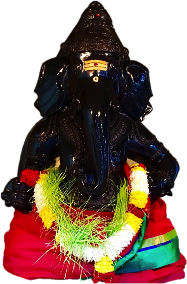 Starting From Sunday 4th September We Would Be Celebration - Christmas Tree (666x1016), Png Download
