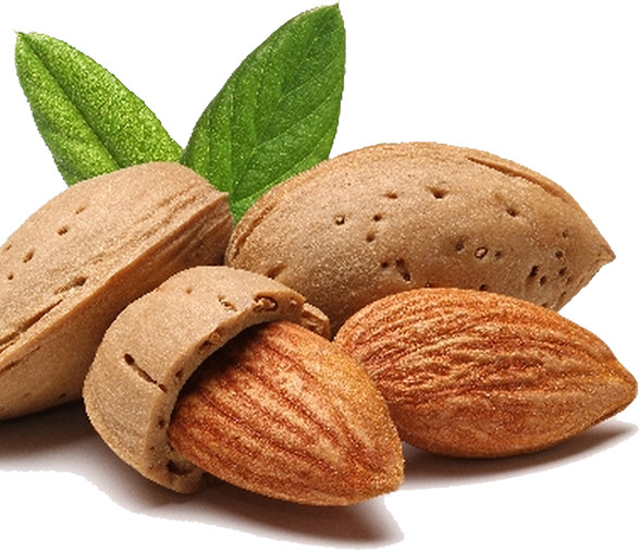 Nuts - Nook Artisan Voluttuosa Anti-humidity Volume Spray (587x505), Png Download
