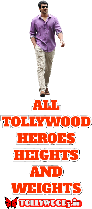 Height Of Tollywood Heroes (312x692), Png Download