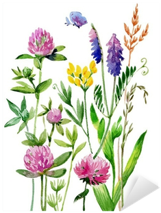 Poszewka Na Poduszkę Vanila Lila, 50x70 Cm (400x400), Png Download