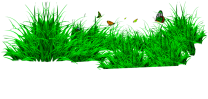 Grass Png - Png Format Grass Png Hd (457x359), Png Download