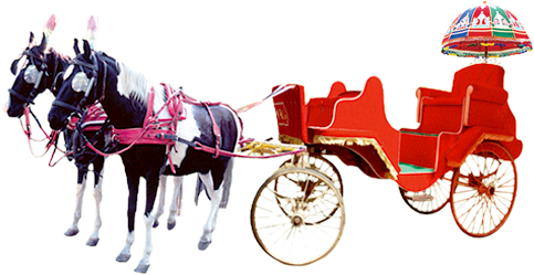 Let Us Make Your Special Day Unforgettable, We Belive - Wedding Chariot Png (500x256), Png Download
