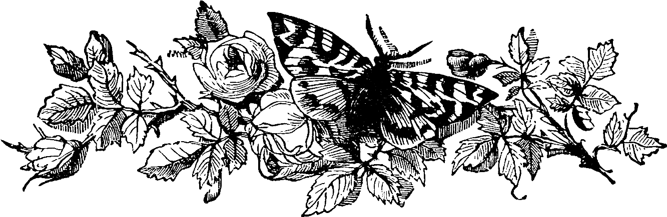 Vintage Flower Clipart Graphic Design Art Pencil And - Black Flower Vintage Png (1510x531), Png Download