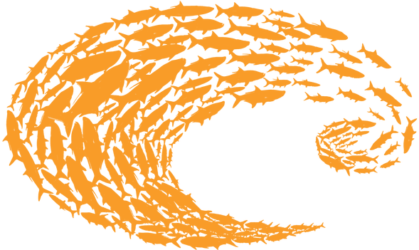 Cars - Costa Sticker (700x350), Png Download