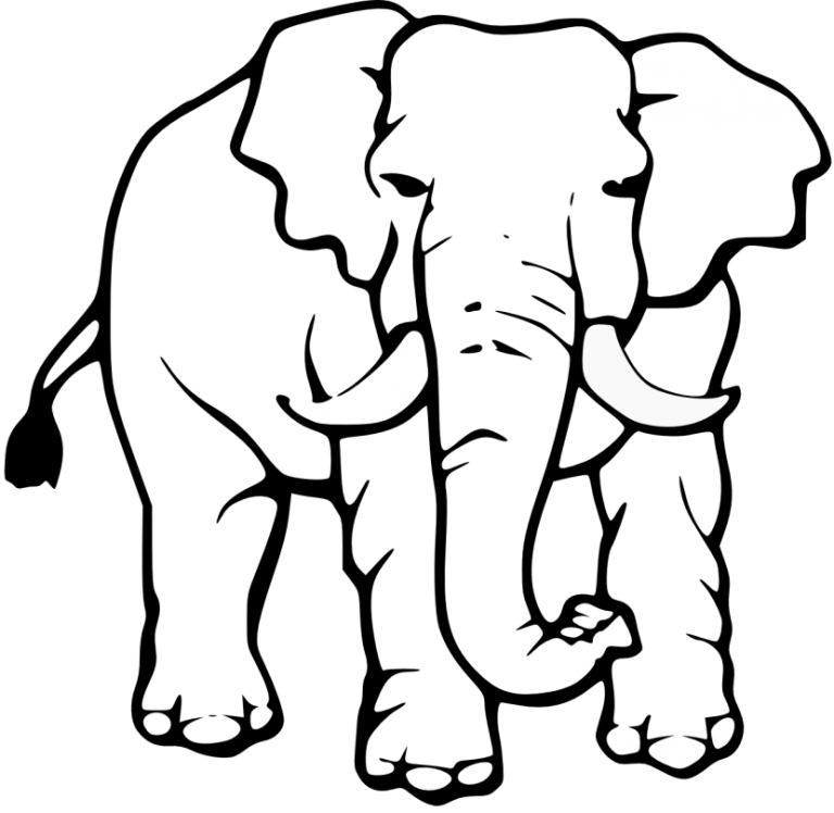 Free Clipartix Download - Elephant Black And White Drawing (768x748), Png Download