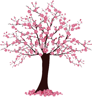 Simple Cherry Blossom Tree Drawing (450x450), Png Download