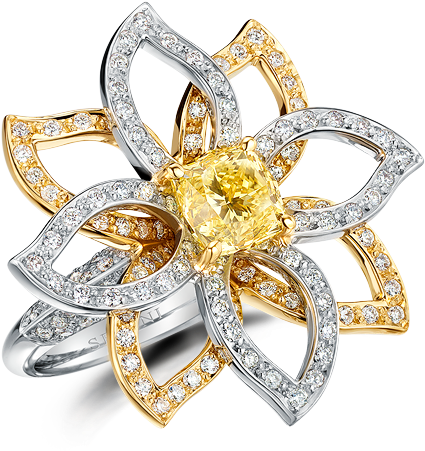 Sel - Ring (500x500), Png Download