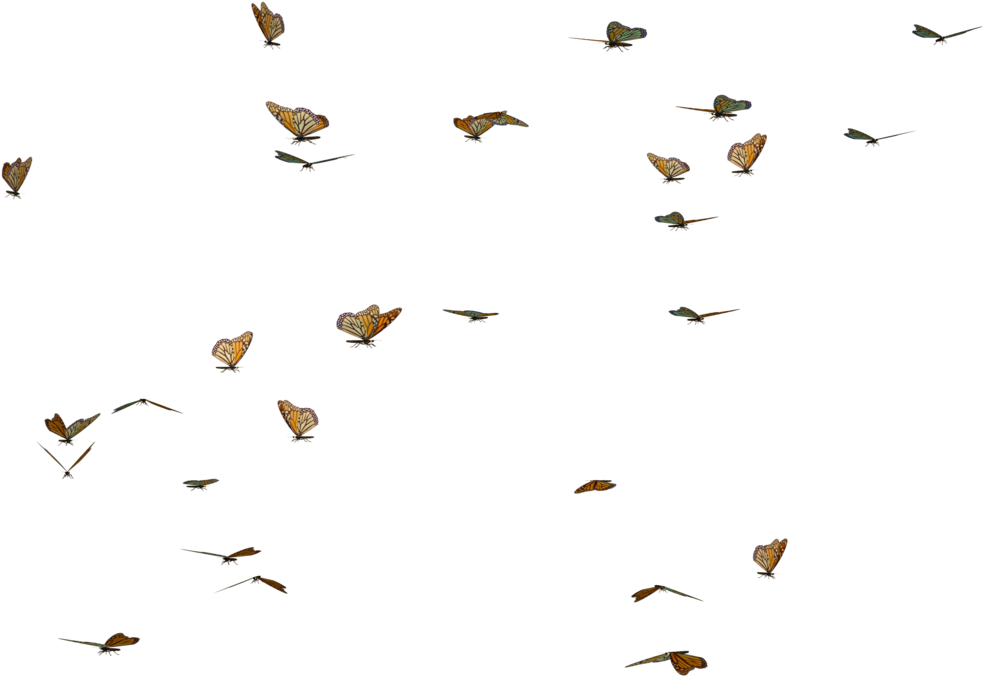 Butterfly Swarm Stock By Clipart Freeuse Library - Transparent Butterflies (1024x768), Png Download