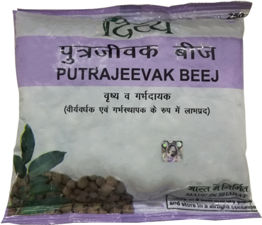 Putra Bijak Patanjali (400x500), Png Download