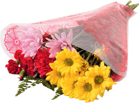 Handful Of Happiness Bouquet - A Handful Of Happiness: How A Prickly Creature Softened (500x611), Png Download