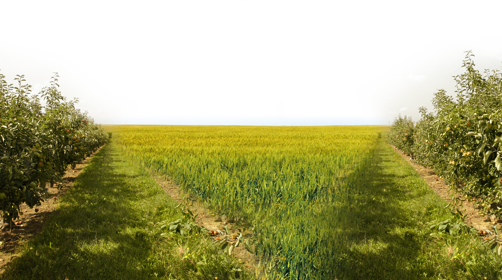 Nature Png (1680x937), Png Download