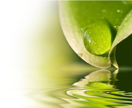 Beauty Through Nature - Drop (462x349), Png Download