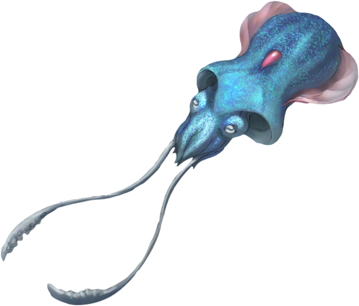 Tentacool Arvalis - Arvalis Real Life Pokemon Png (782x615), Png Download