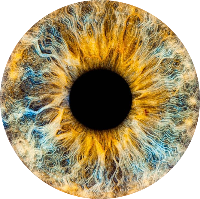 Eyes Iris Reference (666x663), Png Download