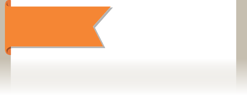 Download Bg Content Geral Completo - Tan - Full Size PNG Image - PNGkit