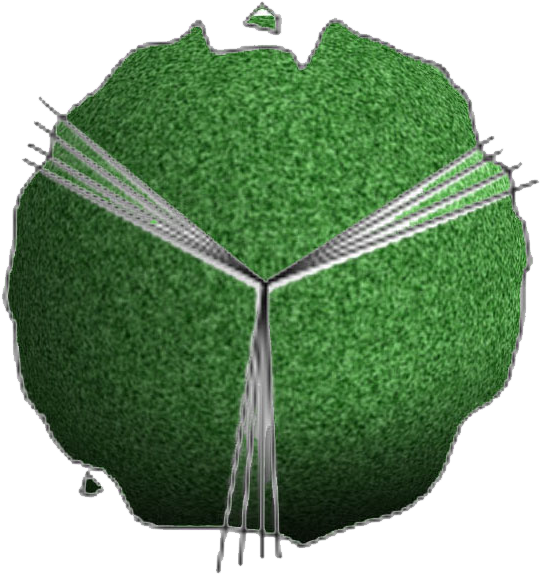 Beringin Tree - Photoshop Trees 2d Sketches (623x619), Png Download