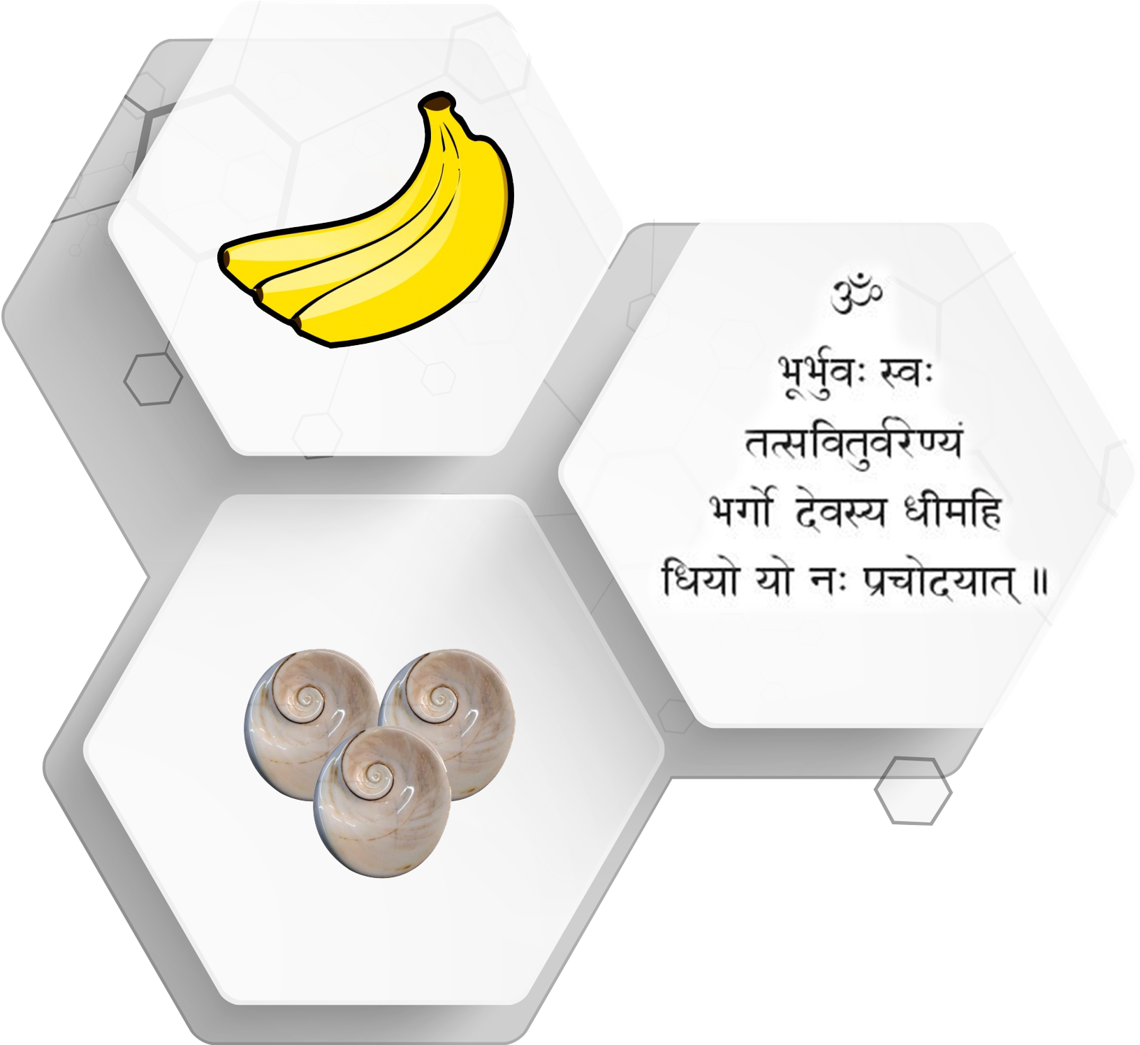 Anusuya Ghosal - Custom Bananas Shower Curtain (1811x1579), Png Download