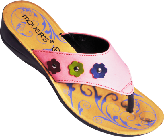 Dsl 3004 - Ladies Footwear Images Png (572x480), Png Download
