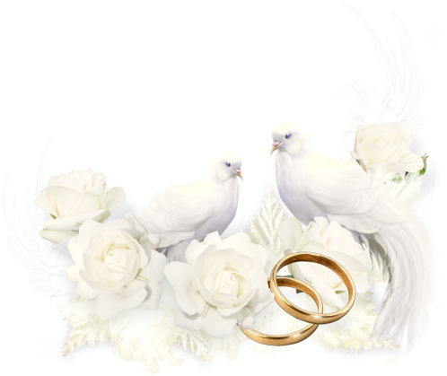Happy Anniversary Wedding, Wedding Borders, Wedding - Fondo De Tarjetas De Boda (500x500), Png Download