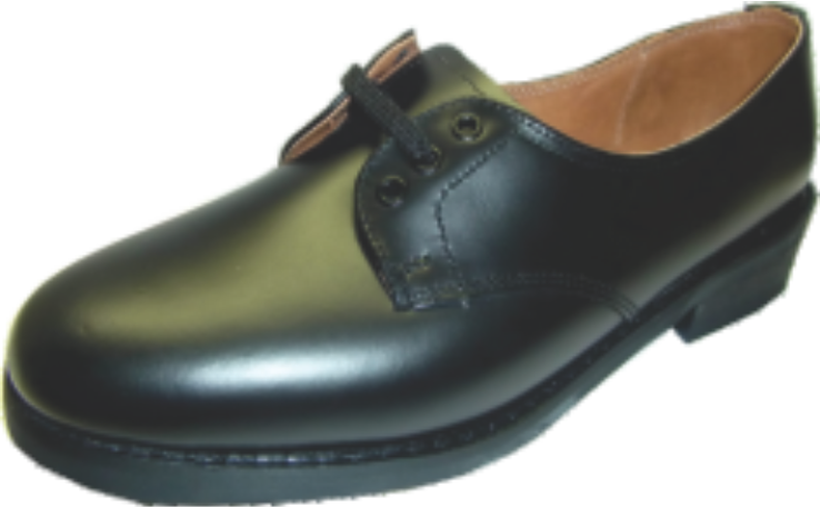 Ladies Parabellum Safety Shoes Sabs Approved - Steel-toe Boot (738x456), Png Download