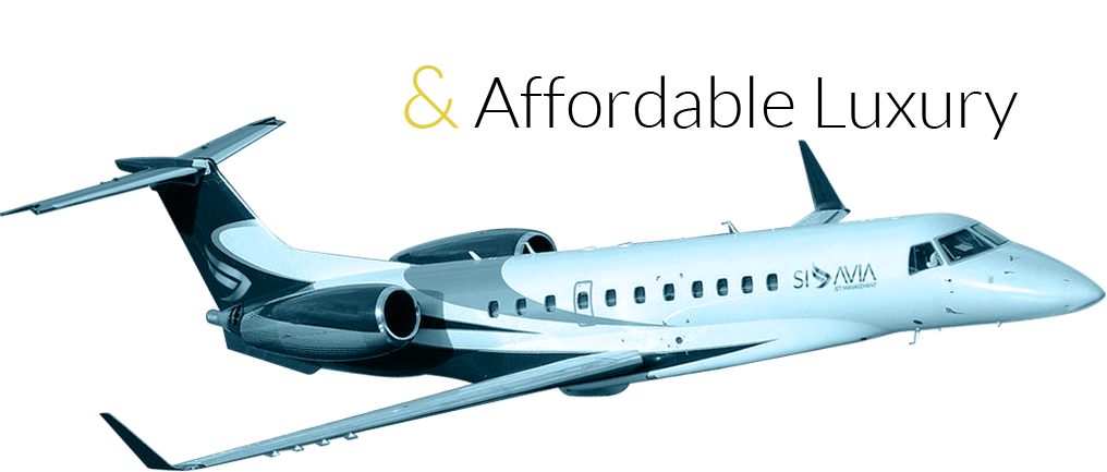 Siavia Plane - Aircraft (1016x433), Png Download