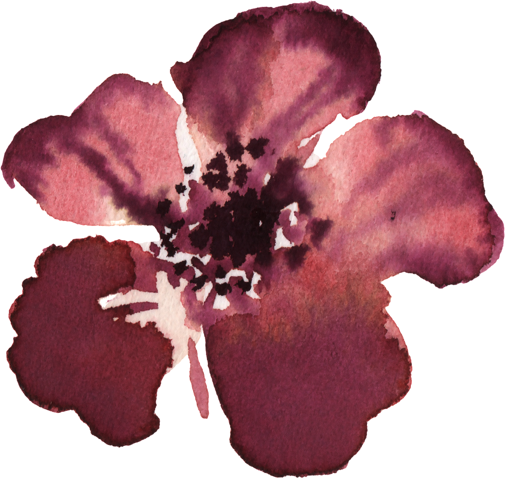 Watercolor Painting (1024x982), Png Download