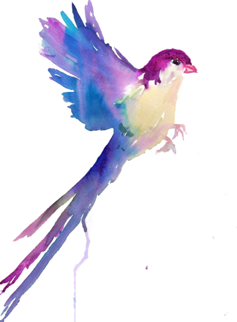 Largest Collection Of Free To Edit Colorful Colors - Bird Drawings In Water Color (480x654), Png Download