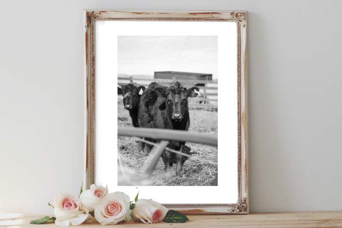 Cow Printable - Smile Is The Prettiest Thing You Can Wear (700x467), Png Download