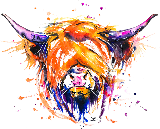 Bleed Area May Not Be Visible - Highland Cattle (600x452), Png Download