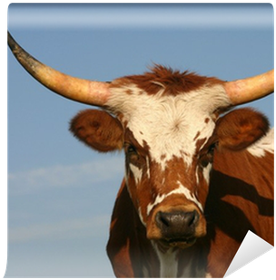 Texas Longhorn (400x400), Png Download