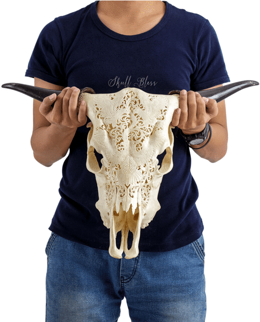 Carved Cow Skull - Cow Skull Indian Eagles (645x645), Png Download