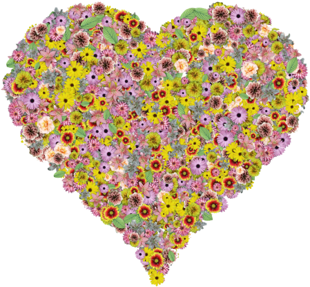 Flower Heart Png Transparent Image - Heart And Flower Png (500x452), Png Download
