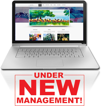 Custom Websites - Vizio Thin And Light Ct15-a2 15.6-inch Laptop (444x480), Png Download