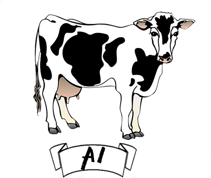 Among The Caseins, Beta Casein Is The Second Most Abundant - Steer (500x376), Png Download