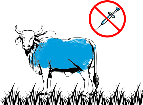 No Growth Hormones (500x376), Png Download