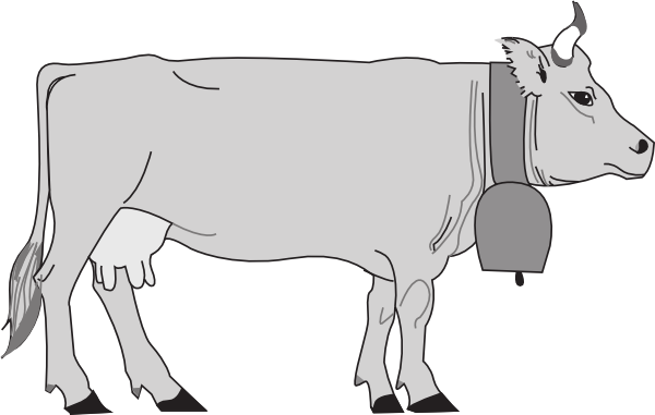 Gray Cow Side View Png Clip Art (600x381), Png Download
