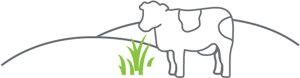 Birth - Cattle (598x225), Png Download