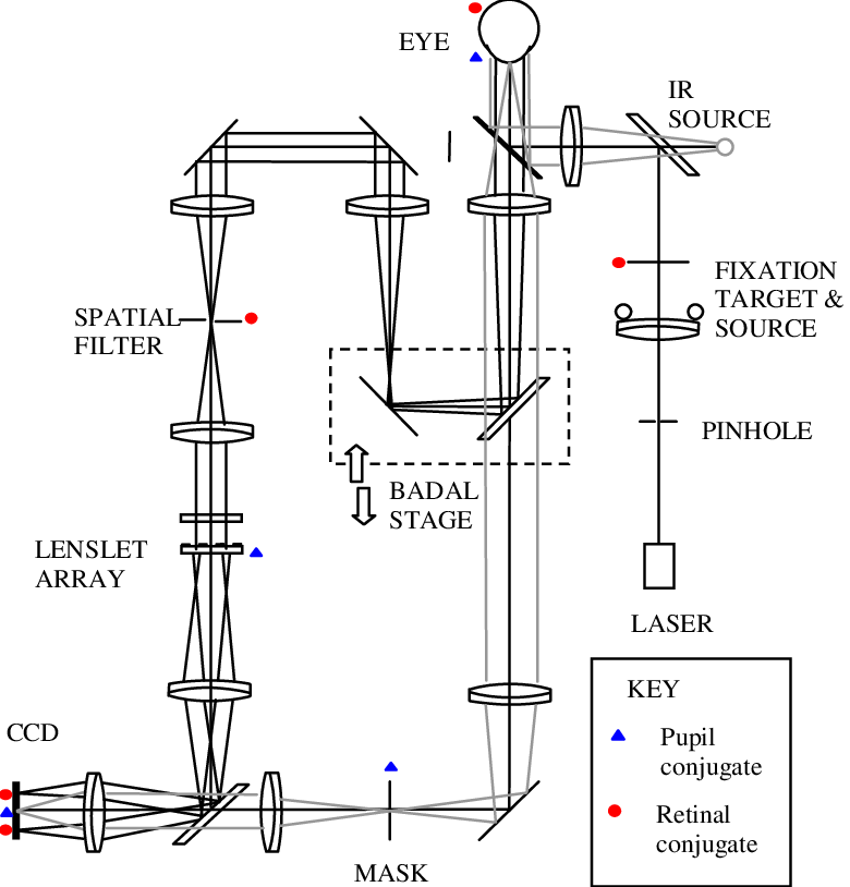 Optical Layout Of The Versatile Hs Wfs - Diagram (780x814), Png Download